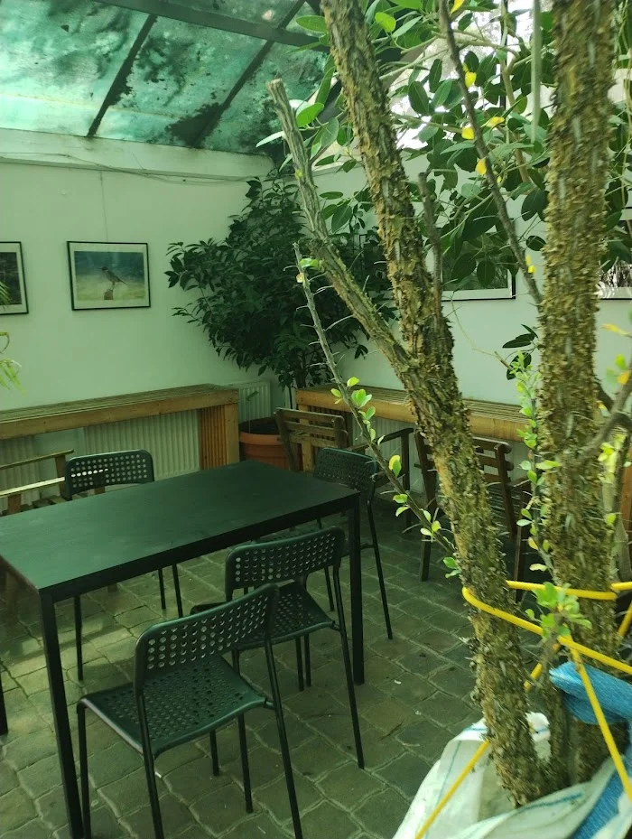 Cafe Flora - Kawiarnia Wrocław Cafe Flora - Kawiarnia Wrocław