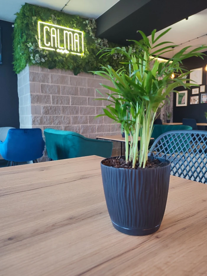 Calma Cafe - Kawiarnia Bielsko-Biała