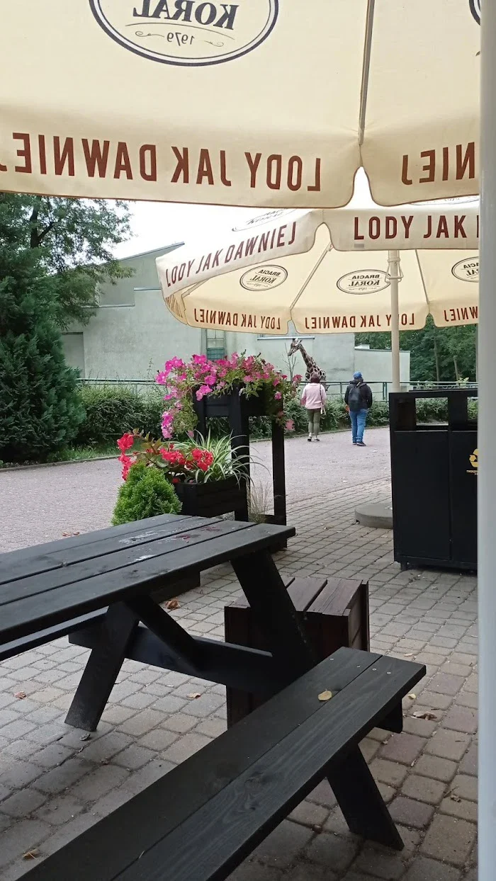 Dobre Smaki u Żyrafki - Restauracja Łódź