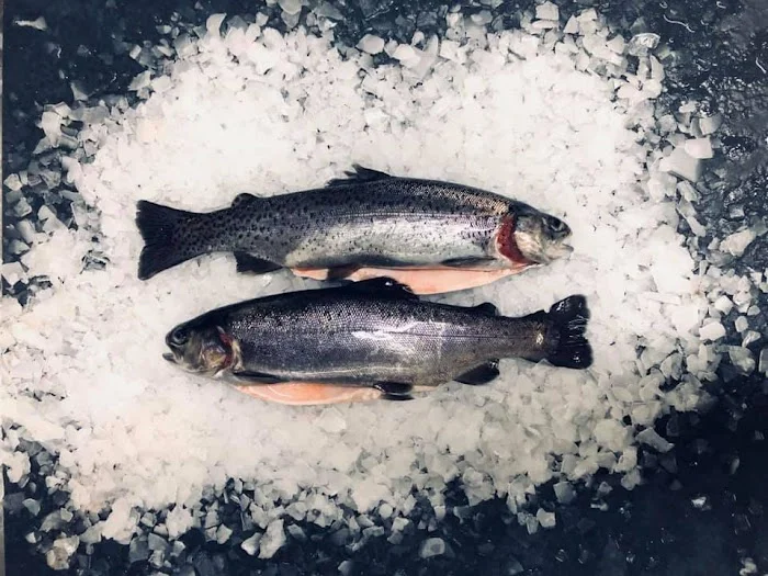 Handel hurtowy Ryby Staniszów Mateusz Kłoczkows - Restauracja Jelenia Góra