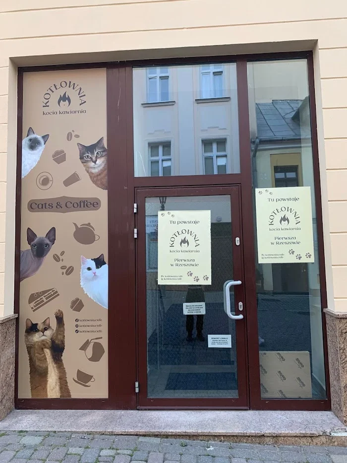 Kocia kawiarnia Kotłownia Rzeszów