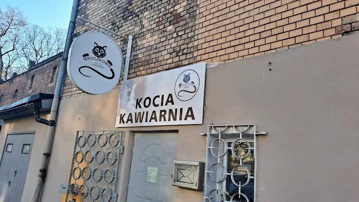 Kocia Kawiarnia Mruczkowo - Gliwice