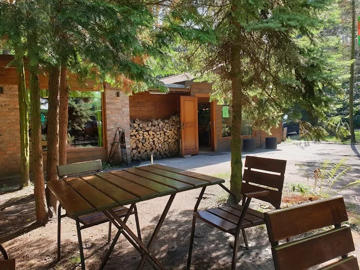Zajazd W Lesie - Restauracja Mysłowice Zajazd W Lesie - Restauracja Mysłowice